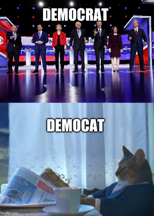 DEMOCRAT; DEMOCAT | image tagged in memes,i should buy a boat cat | made w/ Imgflip meme maker