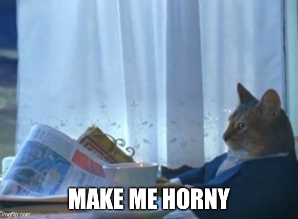 I Should Buy A Boat Cat Meme | MAKE ME HORNY | image tagged in memes,i should buy a boat cat | made w/ Imgflip meme maker