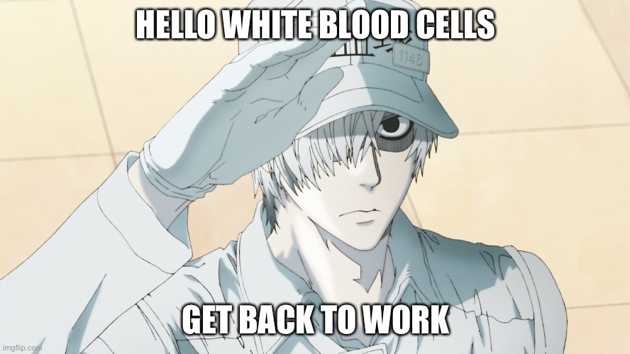 Cells at work meme | HELLO WHITE BLOOD CELLS; GET BACK TO WORK | image tagged in cells at work meme | made w/ Imgflip meme maker