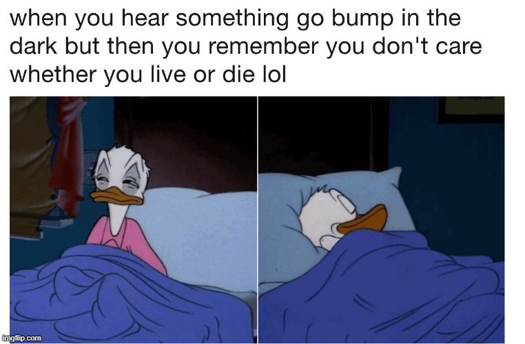 back to sleep i go | image tagged in apathy | made w/ Imgflip meme maker