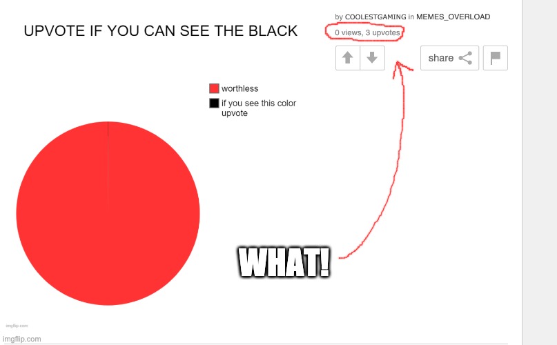 WHAT!!!!!!! | WHAT! | image tagged in memes | made w/ Imgflip meme maker