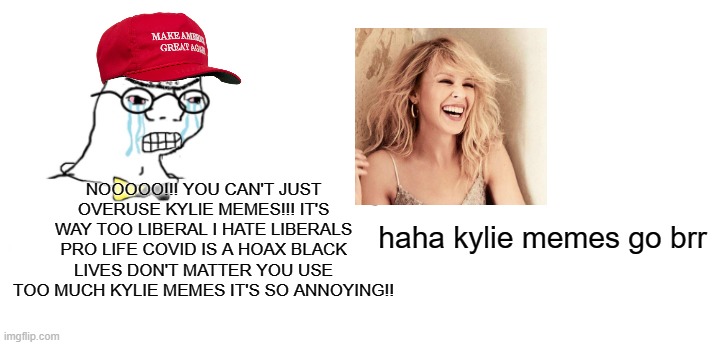 Y E S | NOOOOO!!! YOU CAN'T JUST OVERUSE KYLIE MEMES!!! IT'S WAY TOO LIBERAL I HATE LIBERALS PRO LIFE COVID IS A HOAX BLACK LIVES DON'T MATTER YOU USE TOO MUCH KYLIE MEMES IT'S SO ANNOYING!! haha kylie memes go brr | image tagged in nooo haha go brrr,funny,memes,kylie,liberals | made w/ Imgflip meme maker