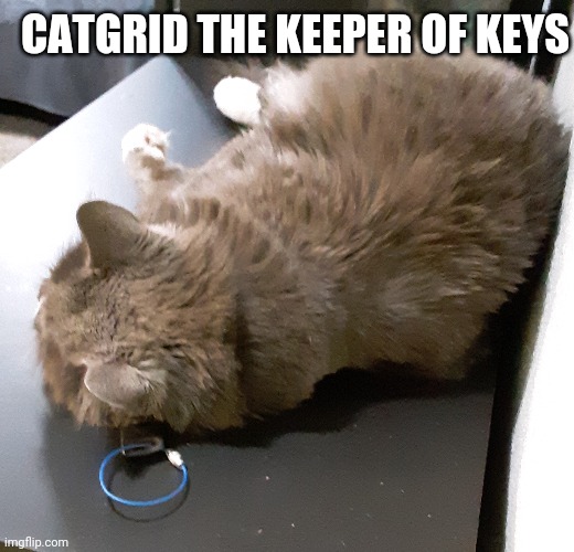 Catgrid the keeper of keys | CATGRID THE KEEPER OF KEYS | image tagged in harry potter memes | made w/ Imgflip meme maker