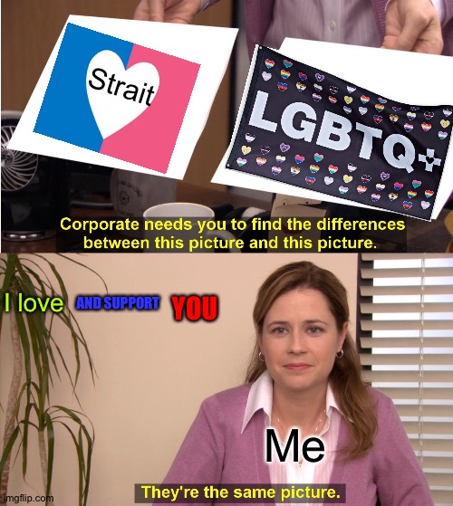 There the same picture | Strait; I love; AND SUPPORT; YOU; Me | image tagged in memes,they're the same picture | made w/ Imgflip meme maker