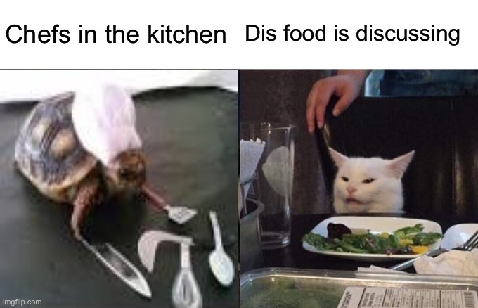 How cats get food | Dis food is discussing; Chefs in the kitchen | image tagged in memes,cat at dinner | made w/ Imgflip meme maker