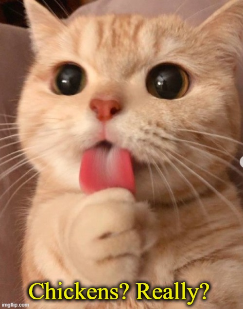 Let's murder and eat chickens. | Chickens? Really? | made w/ Imgflip meme maker