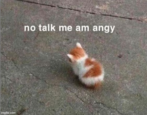 no talk me am angy | image tagged in no talk me am angry | made w/ Imgflip meme maker