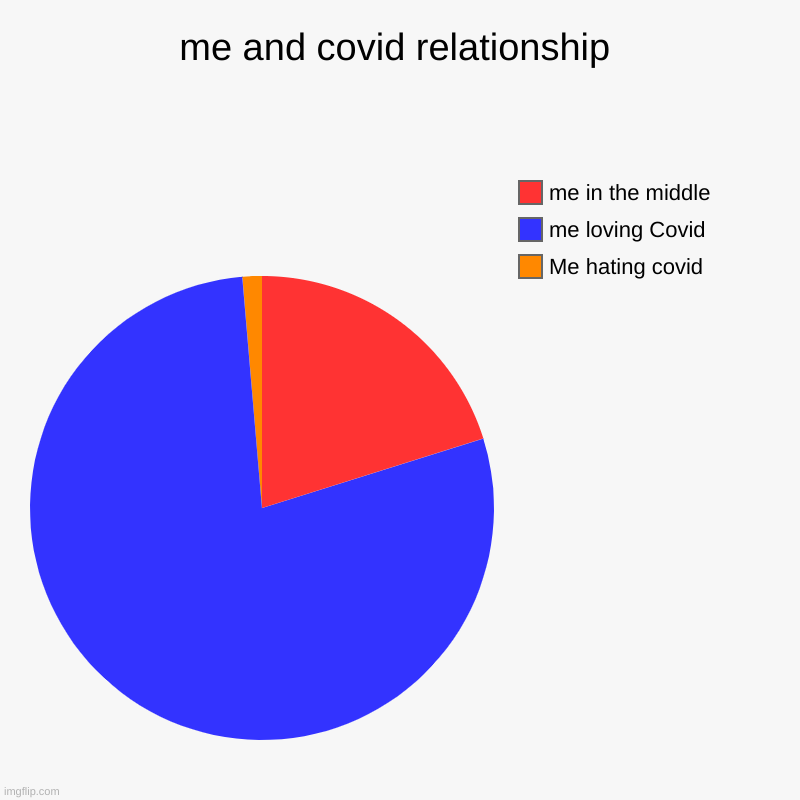 me and covid relationship | Me hating covid, me loving Covid, me in the middle | image tagged in charts,pie charts | made w/ Imgflip chart maker