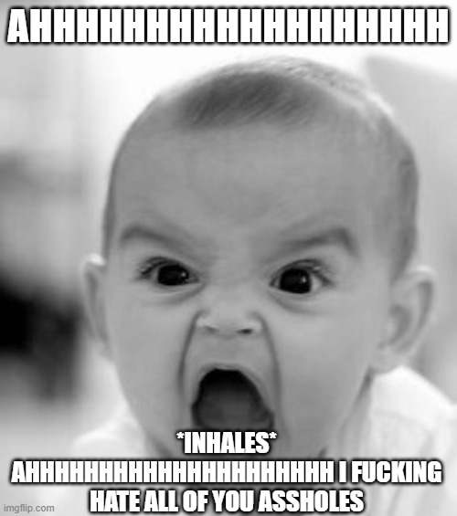 AND YOU KNOW WHO YOU ARE TOO | AHHHHHHHHHHHHHHHHHH; *INHALES*
AHHHHHHHHHHHHHHHHHHHHH I FUCKING HATE ALL OF YOU ASSHOLES | image tagged in memes,angry baby | made w/ Imgflip meme maker