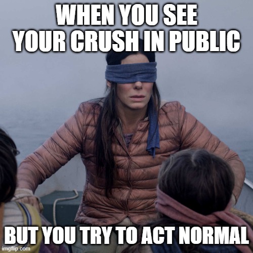 Bird Box | WHEN YOU SEE YOUR CRUSH IN PUBLIC; BUT YOU TRY TO ACT NORMAL | image tagged in memes,bird box | made w/ Imgflip meme maker