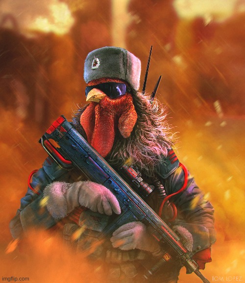 army chicken | image tagged in army chicken | made w/ Imgflip meme maker