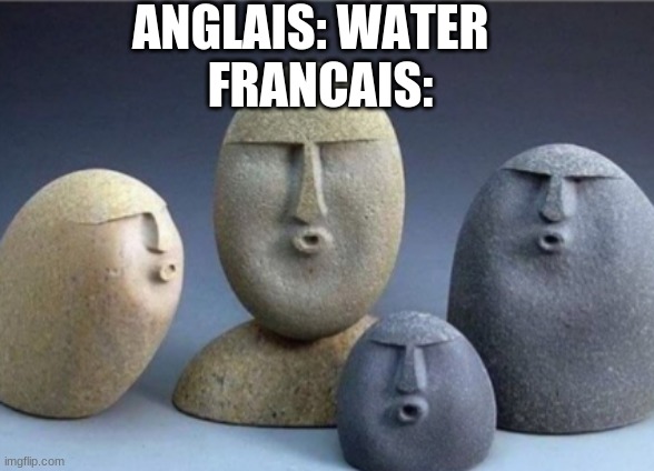French be like | ANGLAIS: WATER  
FRANCAIS: | image tagged in french | made w/ Imgflip meme maker