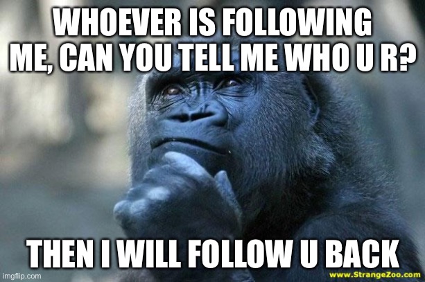 Deep Thoughts | WHOEVER IS FOLLOWING ME, CAN YOU TELL ME WHO U R? THEN I WILL FOLLOW U BACK | image tagged in deep thoughts | made w/ Imgflip meme maker