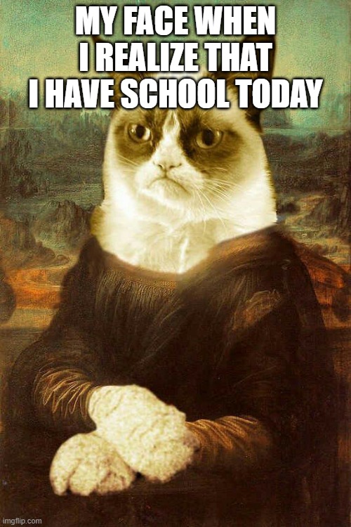 my face when | MY FACE WHEN I REALIZE THAT I HAVE SCHOOL TODAY | image tagged in grumpy cat mona lisa | made w/ Imgflip meme maker