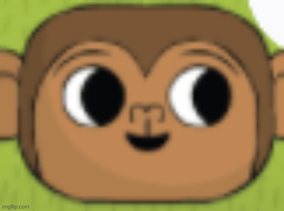 monkey | made w/ Imgflip meme maker