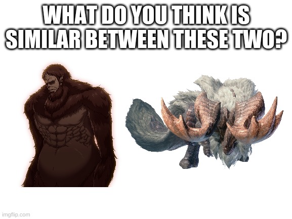 idk just a random quiz | WHAT DO YOU THINK IS SIMILAR BETWEEN THESE TWO? | image tagged in blank white template | made w/ Imgflip meme maker