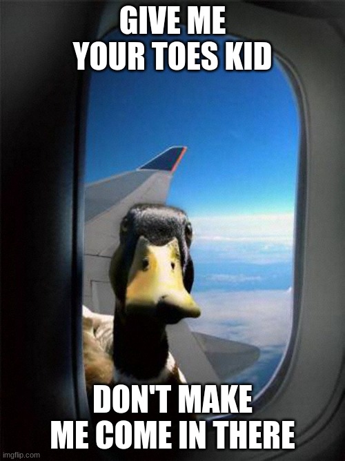 Airplane Duck | GIVE ME YOUR TOES KID; DON'T MAKE ME COME IN THERE | image tagged in airplane duck | made w/ Imgflip meme maker