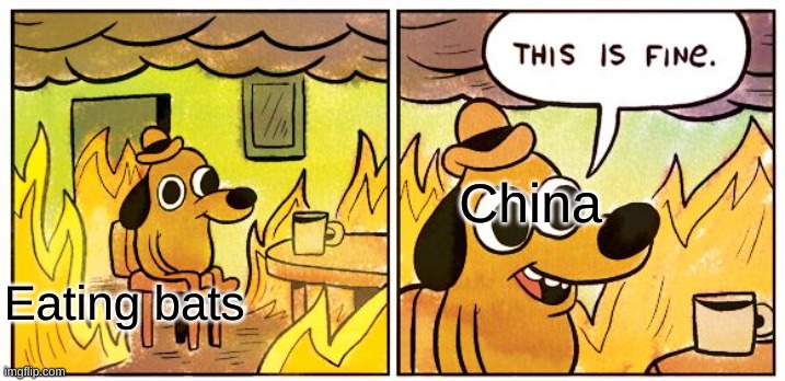 This Is Fine Meme | China; Eating bats | image tagged in memes,this is fine | made w/ Imgflip meme maker