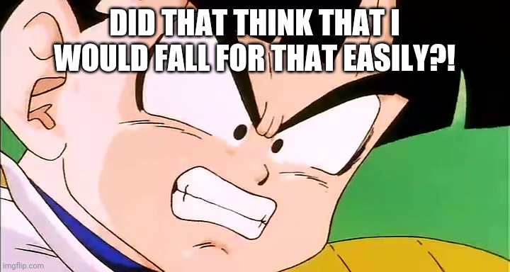 Frustrated Gohan (DBZ) | DID THAT THINK THAT I WOULD FALL FOR THAT EASILY?! | image tagged in frustrated gohan dbz | made w/ Imgflip meme maker