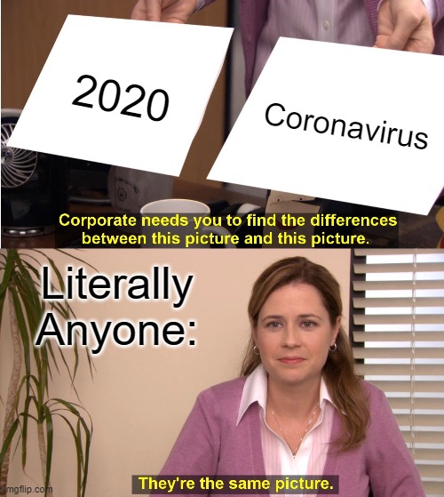 Mhm, they are kinda the same. | 2020; Coronavirus; Literally Anyone: | image tagged in memes,they're the same picture,2020 sucks | made w/ Imgflip meme maker