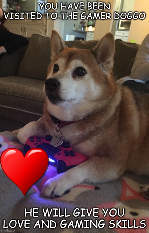 Wholesome Stuff | YOU HAVE BEEN VISITED TO THE GAMER DOGGO; HE WILL GIVE YOU LOVE AND GAMING SKILLS | image tagged in doggo | made w/ Imgflip meme maker