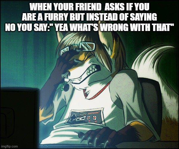 Furry facepalm | WHEN YOUR FRIEND  ASKS IF YOU ARE A FURRY BUT INSTEAD OF SAYING NO YOU SAY:" YEA WHAT'S WRONG WITH THAT" | image tagged in furry facepalm | made w/ Imgflip meme maker