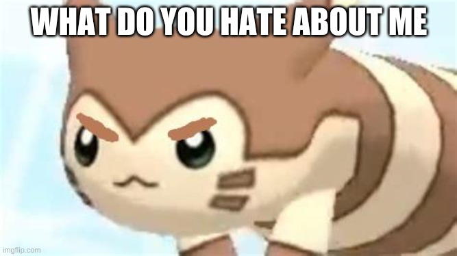 angry furret | WHAT DO YOU HATE ABOUT ME | image tagged in angry furret | made w/ Imgflip meme maker