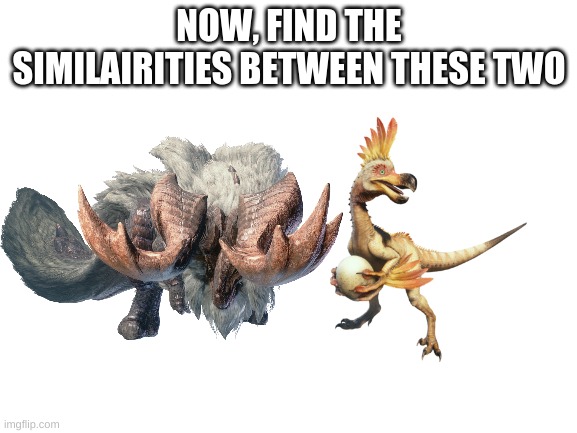 Blank White Template | NOW, FIND THE SIMILARITIES BETWEEN THESE TWO | image tagged in blank white template | made w/ Imgflip meme maker