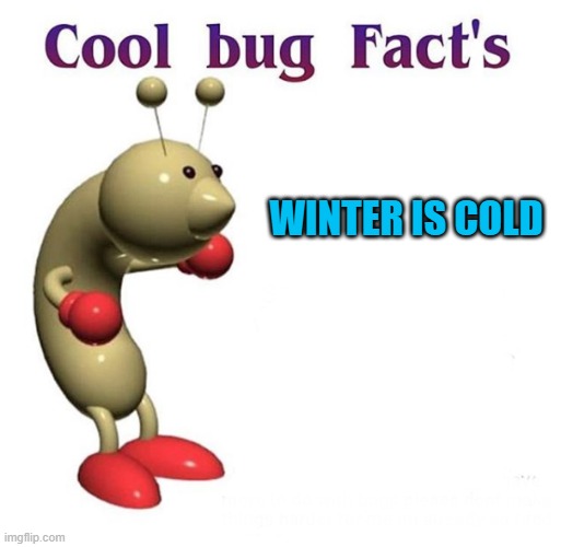 Cool Bug Facts | WINTER IS COLD | image tagged in cool bug facts | made w/ Imgflip meme maker