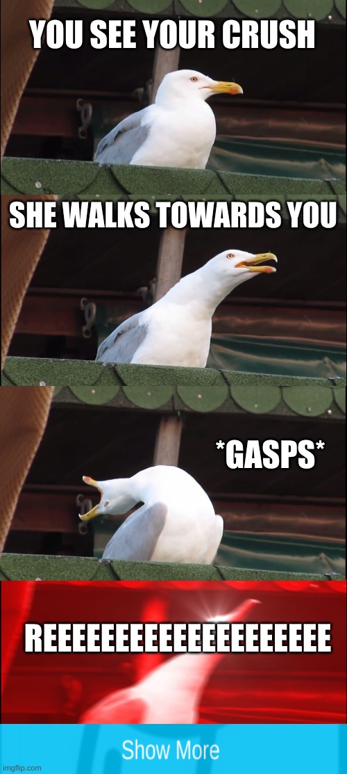Inhaling Seagull | YOU SEE YOUR CRUSH; SHE WALKS TOWARDS YOU; *GASPS*; REEEEEEEEEEEEEEEEEEEE | image tagged in memes,inhaling seagull | made w/ Imgflip meme maker