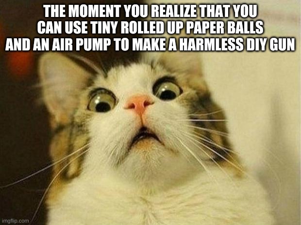 diy cat | THE MOMENT YOU REALIZE THAT YOU CAN USE TINY ROLLED UP PAPER BALLS AND AN AIR PUMP TO MAKE A HARMLESS DIY GUN | image tagged in memes,scared cat | made w/ Imgflip meme maker