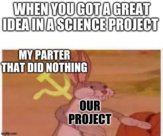 our project | WHEN YOU GOT A GREAT IDEA IN A SCIENCE PROJECT; MY PARTER THAT DID NOTHING; OUR PROJECT | image tagged in your mom | made w/ Imgflip meme maker