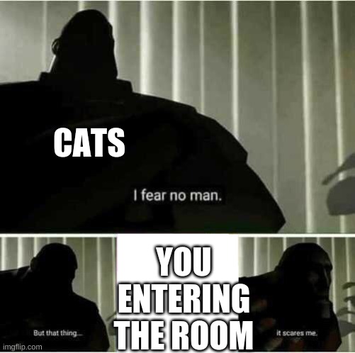 I fear no man | CATS; YOU ENTERING THE ROOM | image tagged in i fear no man | made w/ Imgflip meme maker