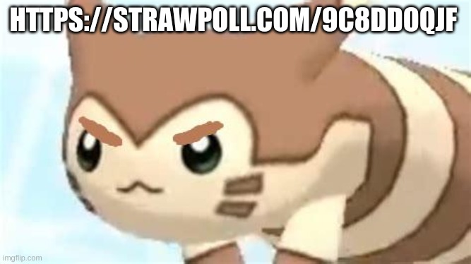 https://strawpoll.com/9c8ddoqjf | HTTPS://STRAWPOLL.COM/9C8DDOQJF | image tagged in angry furret | made w/ Imgflip meme maker