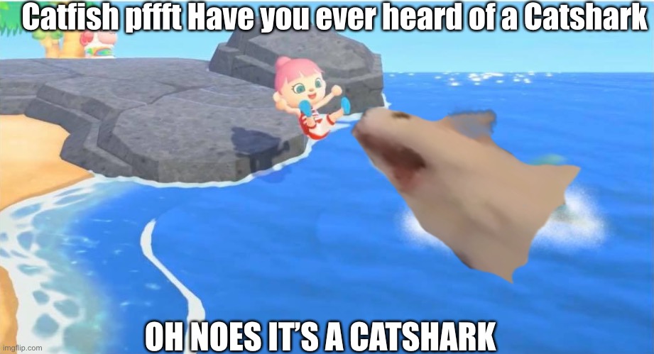 CatSharks | Catfish pffft Have you ever heard of a Catshark; OH NOES IT’S A CATSHARK | image tagged in shark,cats,animal crossing new horizons | made w/ Imgflip meme maker