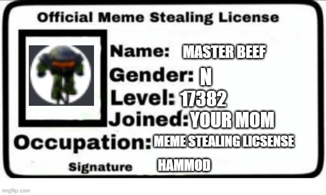 Meme Stealing Liscense | MASTER BEEF; N; 17382; YOUR MOM; MEME STEALING LICSENSE; HAMMOD | image tagged in official meme stealing license | made w/ Imgflip meme maker