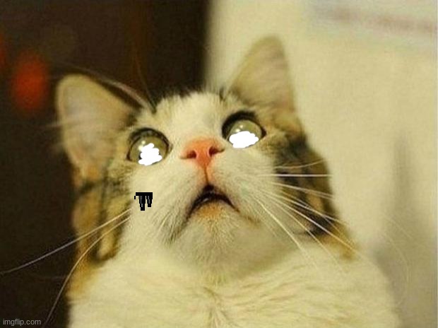 Scared Cat Meme | image tagged in memes,scared cat | made w/ Imgflip meme maker