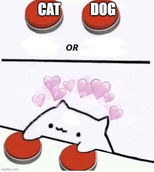 Cat pressing two buttons | CAT           DOG | image tagged in cat pressing two buttons | made w/ Imgflip meme maker