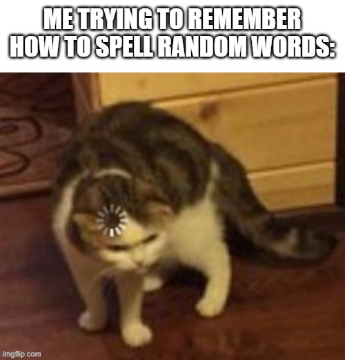 Loading cat | ME TRYING TO REMEMBER HOW TO SPELL RANDOM WORDS: | image tagged in loading cat | made w/ Imgflip meme maker