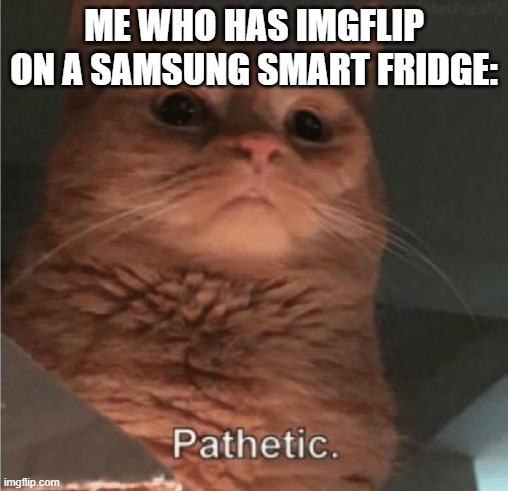 Pathetic Cat | ME WHO HAS IMGFLIP ON A SAMSUNG SMART FRIDGE: | image tagged in pathetic cat | made w/ Imgflip meme maker