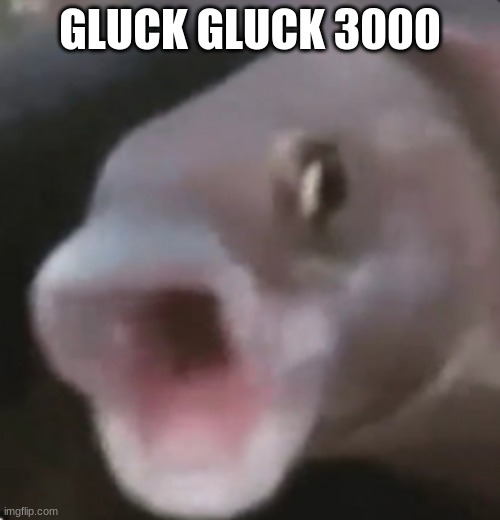 Gluck Gluck 3000 | GLUCK GLUCK 3000 | image tagged in poggers fish | made w/ Imgflip meme maker