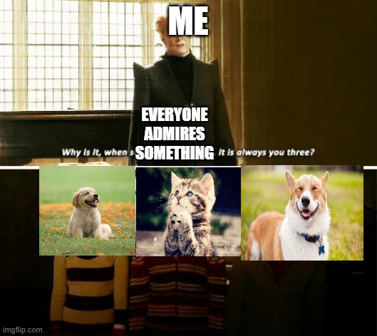 Adorrabbllleeeee :D | ME; EVERYONE ADMIRES SOMETHING | image tagged in always you three | made w/ Imgflip meme maker