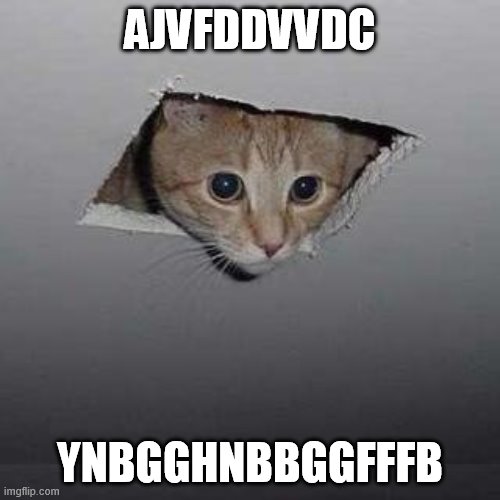 Ceiling Cat | AJVFDDVVDC; YNBGGHNBBGGFFFB | image tagged in memes,ceiling cat | made w/ Imgflip meme maker