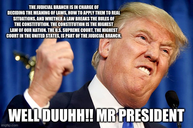 Donald Trump | THE JUDICIAL BRANCH IS IN CHARGE OF DECIDING THE MEANING OF LAWS, HOW TO APPLY THEM TO REAL SITUATIONS, AND WHETHER A LAW BREAKS THE RULES OF THE CONSTITUTION. THE CONSTITUTION IS THE HIGHEST LAW OF OUR NATION. THE U.S. SUPREME COURT, THE HIGHEST COURT IN THE UNITED STATES, IS PART OF THE JUDICIAL BRANCH. WELL DUUHH!! MR PRESIDENT | image tagged in donald trump | made w/ Imgflip meme maker