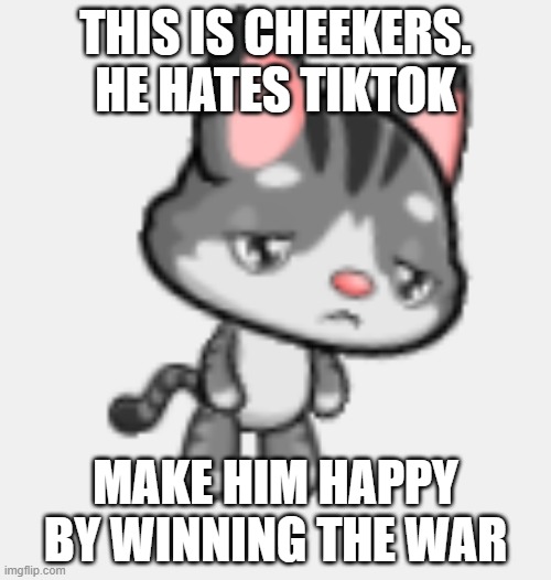THIS IS CHEEKERS. HE HATES TIKTOK; MAKE HIM HAPPY BY WINNING THE WAR | made w/ Imgflip meme maker
