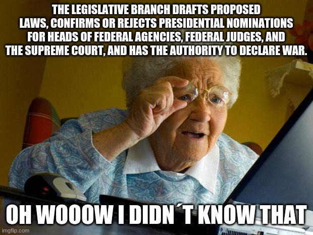 Old lady at computer finds the Internet | THE LEGISLATIVE BRANCH DRAFTS PROPOSED LAWS, CONFIRMS OR REJECTS PRESIDENTIAL NOMINATIONS FOR HEADS OF FEDERAL AGENCIES, FEDERAL JUDGES, AND THE SUPREME COURT, AND HAS THE AUTHORITY TO DECLARE WAR. OH WOOOW I DIDN´T KNOW THAT | image tagged in old lady at computer finds the internet | made w/ Imgflip meme maker