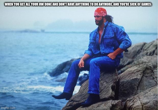 Conflicted Macho Man | WHEN YOU GET ALL YOUR HW DONE AND DON'T HAVE ANYTHING TO DO ANYMORE, AND YOU'RE SICK OF GAMES: | image tagged in conflicted macho man | made w/ Imgflip meme maker