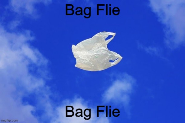 Bag Flie |  Bag Flie; Bag Flie | image tagged in litter,bag flie,barney will eat all of your delectable biscuits | made w/ Imgflip meme maker