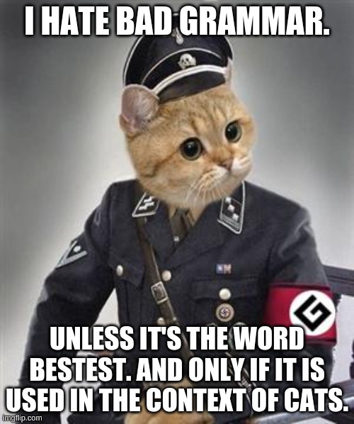 I Actually Do This | I HATE BAD GRAMMAR. UNLESS IT'S THE WORD BESTEST. AND ONLY IF IT IS USED IN THE CONTEXT OF CATS. | image tagged in grammar nazi cat | made w/ Imgflip meme maker