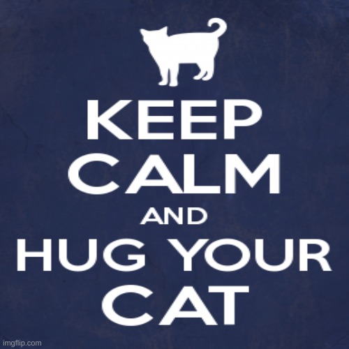 keep calm and snuggle the cat | image tagged in cats,keep calm and | made w/ Imgflip meme maker